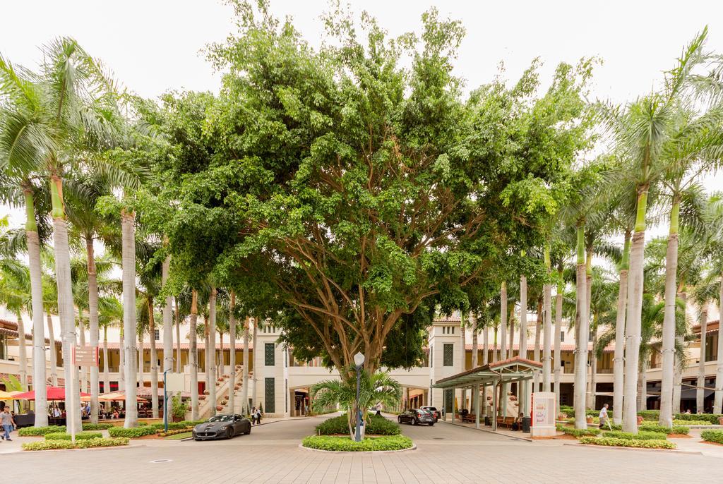 Pelicanstay In Coral Gables Miami Eksteriør bilde